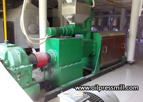 Cashew Nut Shell Liquid Plant Cold CNSL Oil Press Vegetable Oil